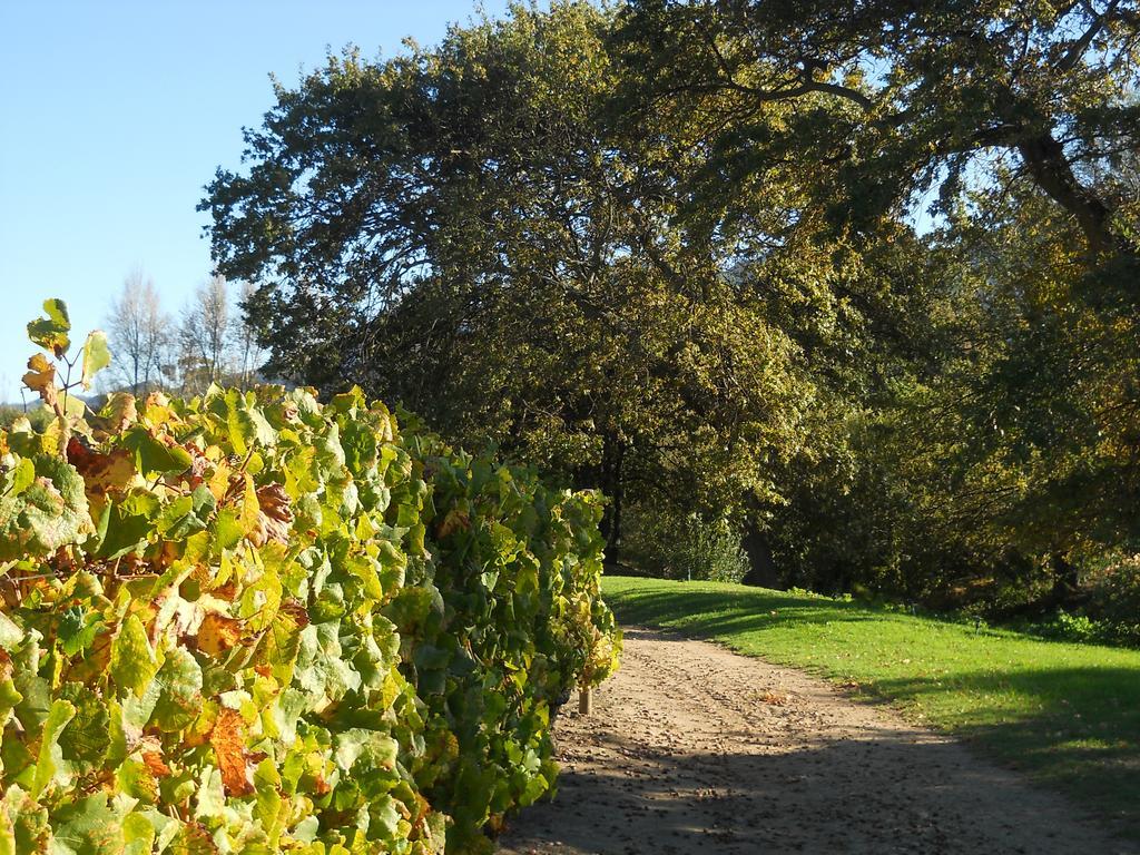 Auberge Clermont Franschhoek Bagian luar foto