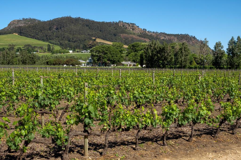 Auberge Clermont Franschhoek Bagian luar foto