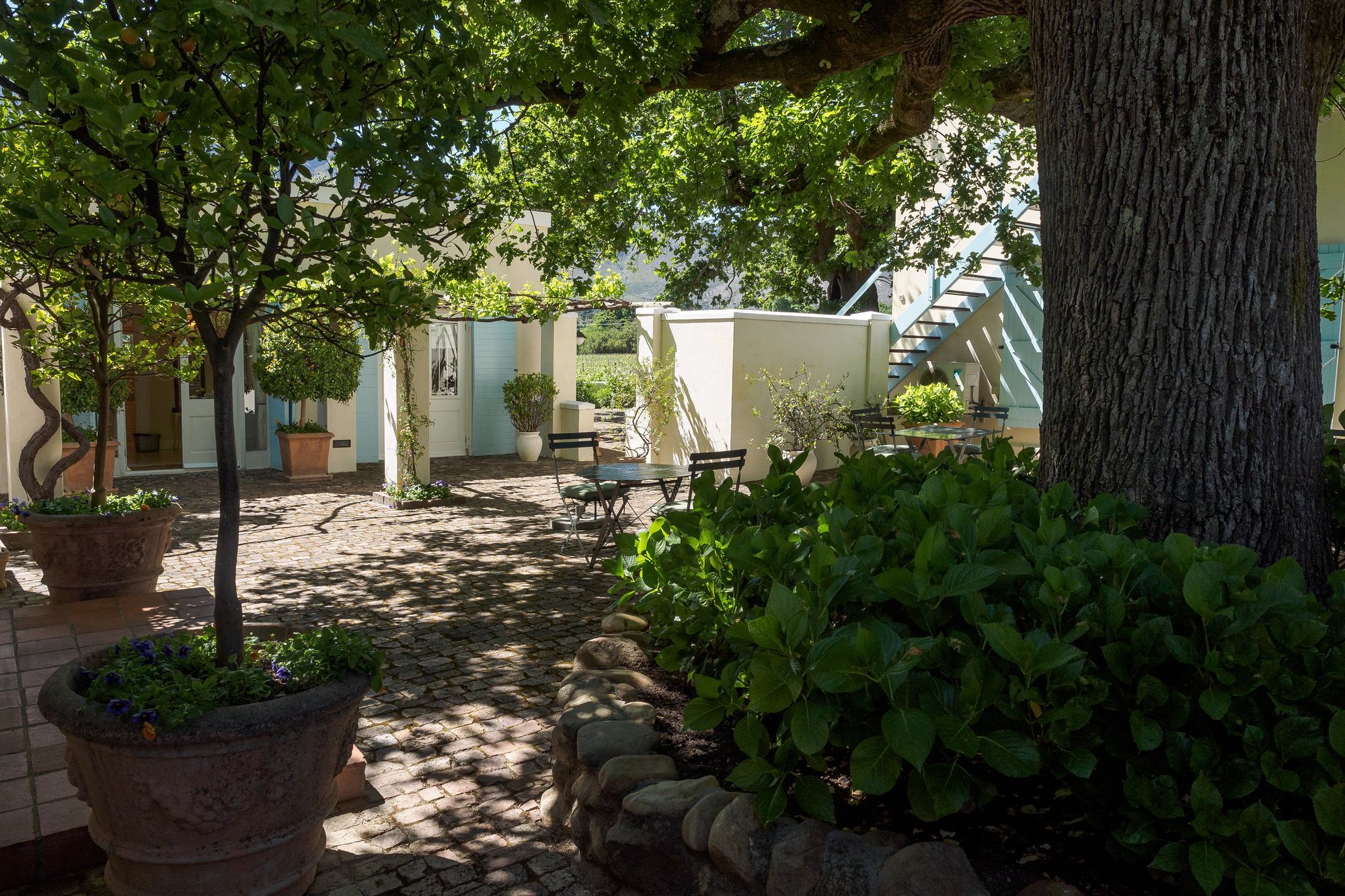 Auberge Clermont Franschhoek Bagian luar foto